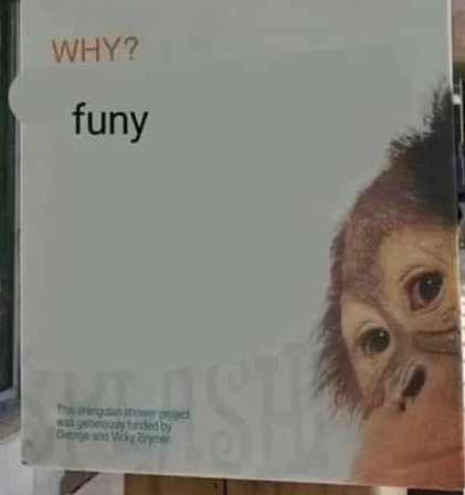 Why? Funy.